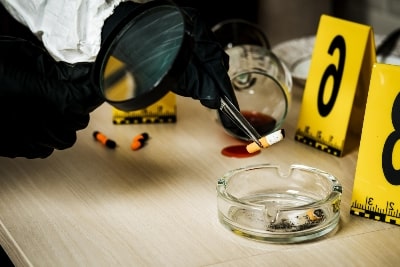 A Degree in Forensic Science Can Lead to a Number of Career Opportunities